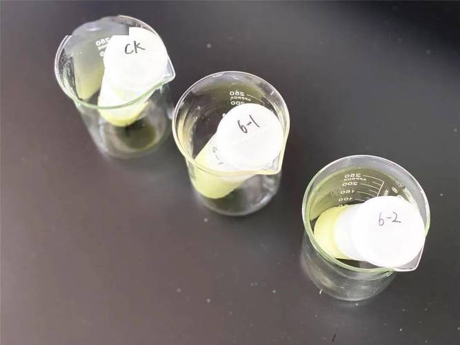 市农产品质量安全中心通过全省农产品质量安全检测机构飞行检查