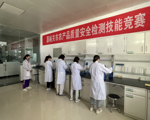 【"三抓三促"行动进行时】市农产品质量安全监督检测中心举办2023年农产品质量安全检测技能竞赛预赛