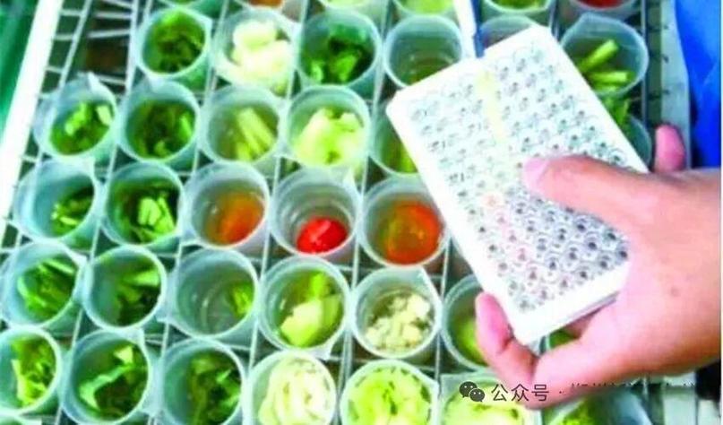 郑州市农产品质量安全技术体系正式进入国家级质量安全技术序列