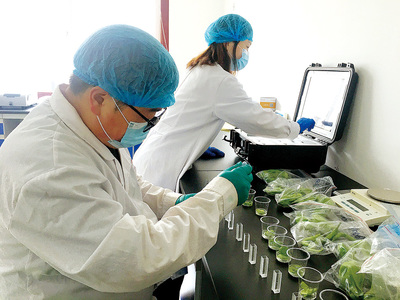 湖北省谷城县公共检验检测中心组织技术人员对食品、农产品生产加工源头开展实地抽样抽检工作